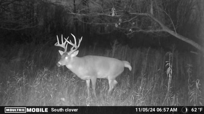 Trailcam1