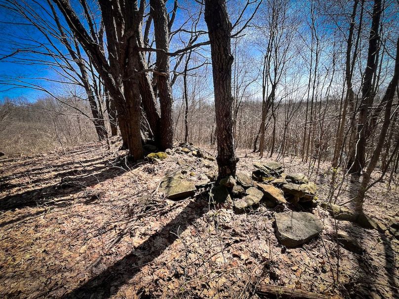 Oswego_13.95_Moore_Bush_Photos_21