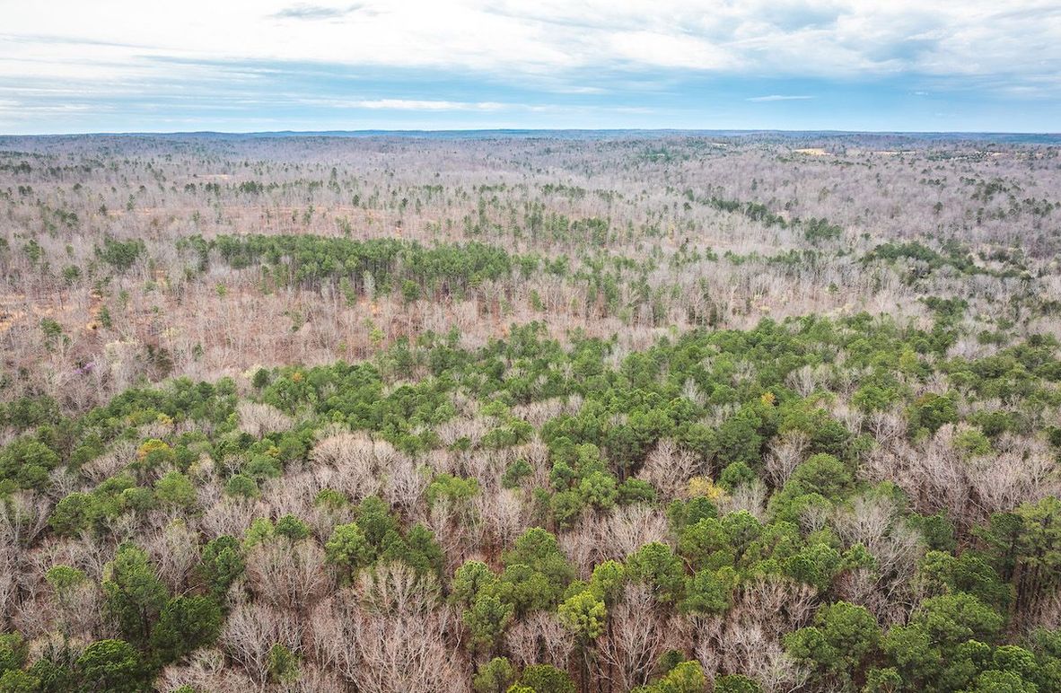 DJI_20250403115926_0550_D