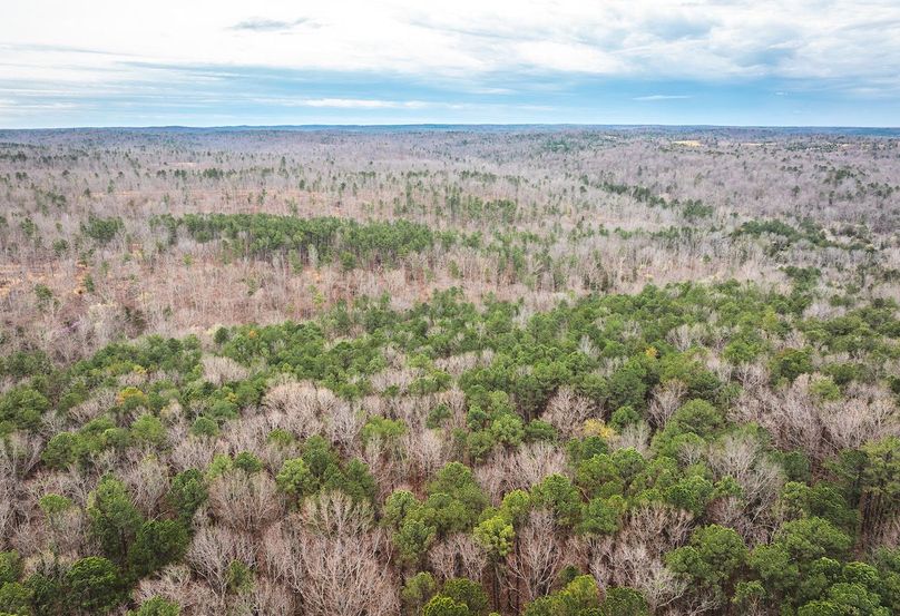 DJI_20250403115926_0550_D