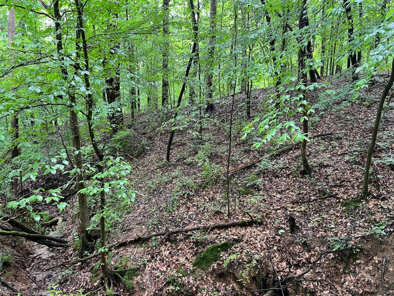 Wirt, WV 150.75 AC Tinnell-09