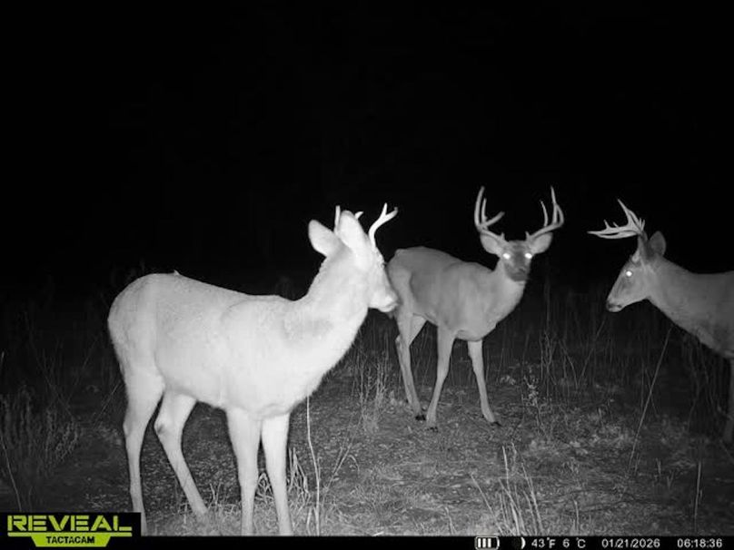 860322064077966-40-3-01212026061852-V-W1013157