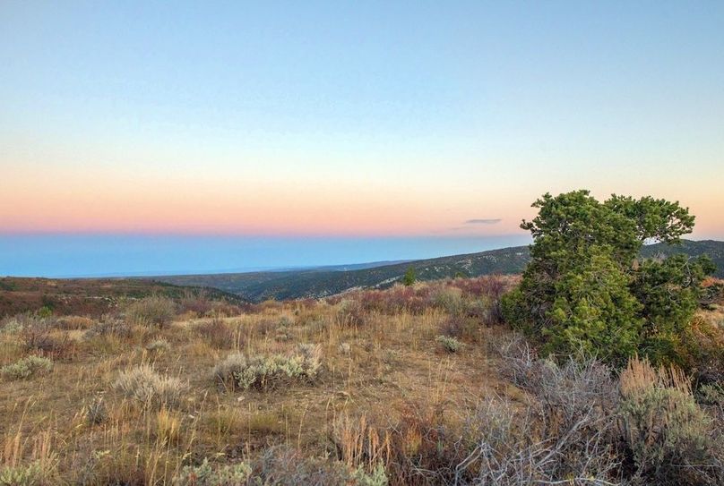 Copy of Copy of DSC_1865