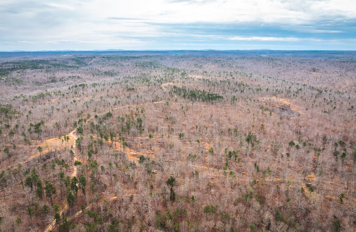 DJI_20250403120251_0563_D