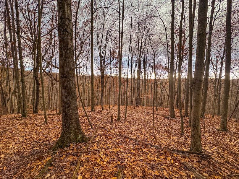 Ritchie, WV 14.081 AC Currey-32