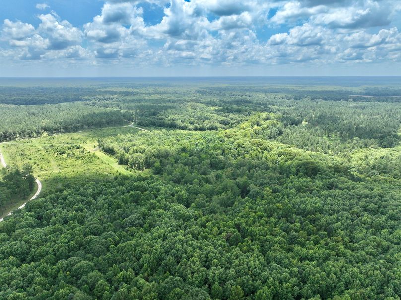 dji_fly_20230731_133152_457_1690845656657_photo