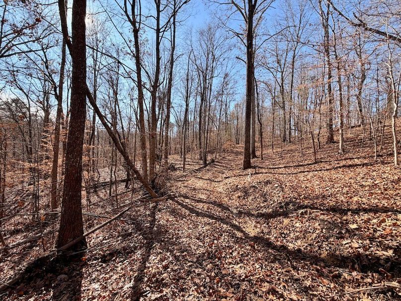 Roane Co TN 396 20251127_89