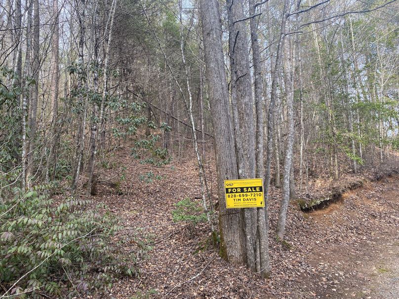 Cherokee 7.47 Herzog-20