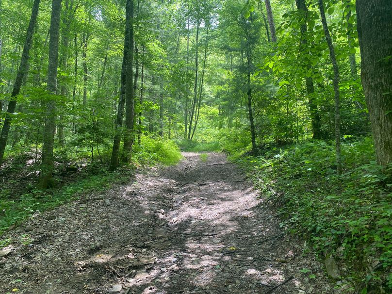 Swain 39 Tysinger-09