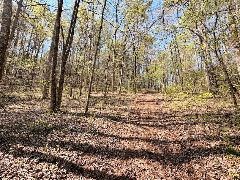 Monroe Co TN 44.66 Bolton_085