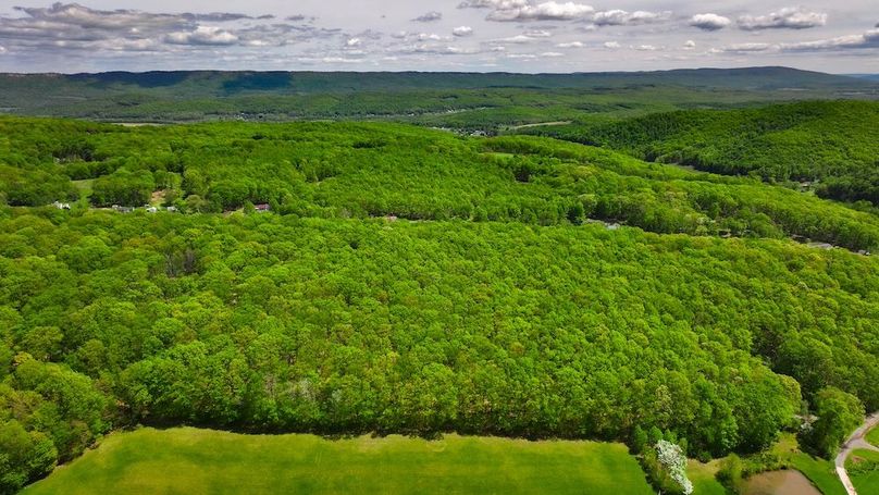DJI_20250508022612_0111_D