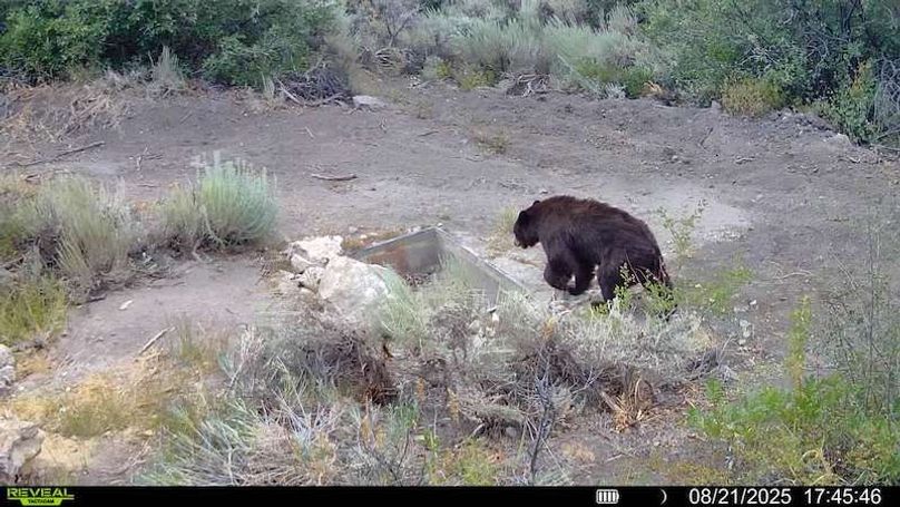 016578000756376-100-2-08212025174546-V-SYFW00019