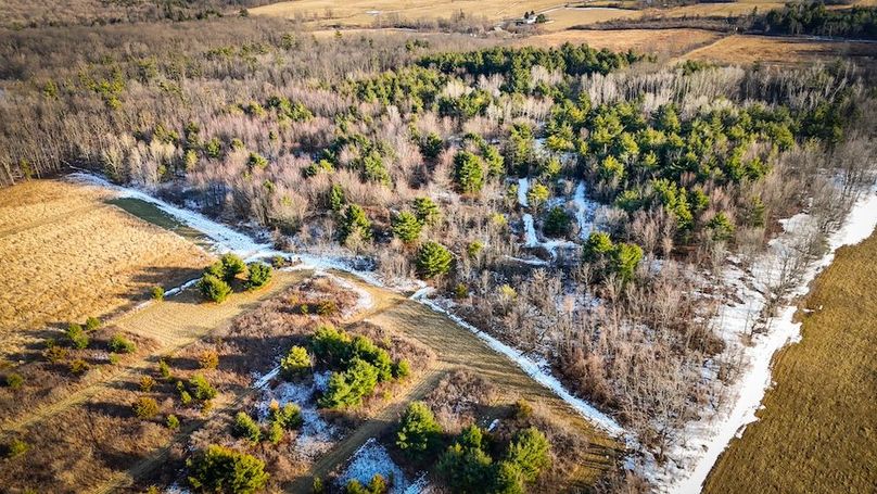 Seneca_43_Hohwald_Photos_6