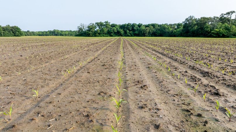 DJI_20250610045655_0016_D