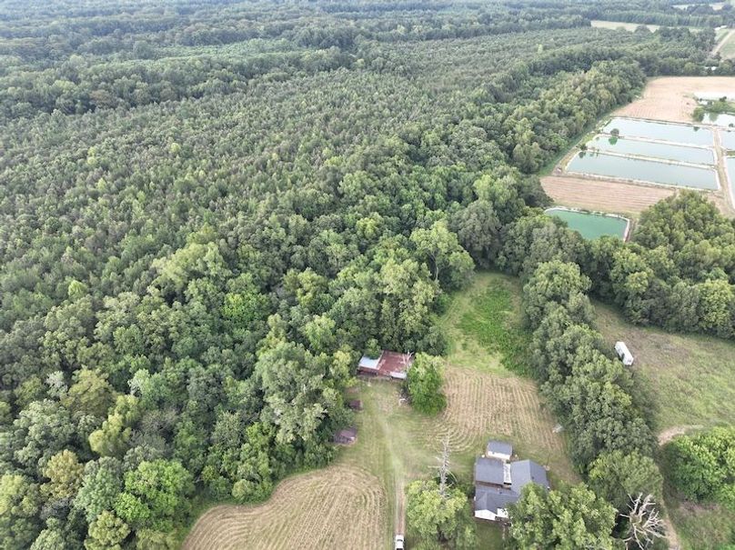 dji_fly_20250828_164232_152_1756499604563_photo