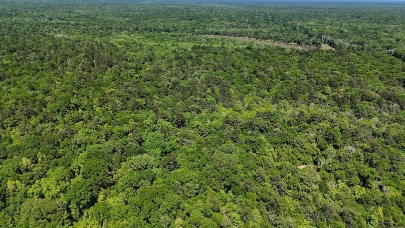 DJI_20240423150238_0004_D