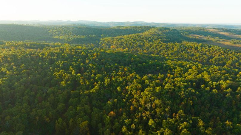 DJI_0239