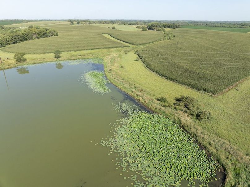 DJI_20250729095355_0033_D