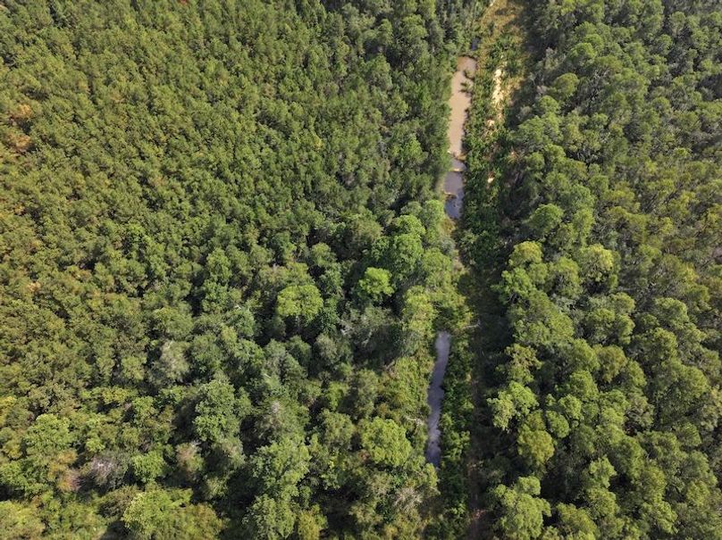 dji_fly_20250915_151454_0477_1758029010324_photo