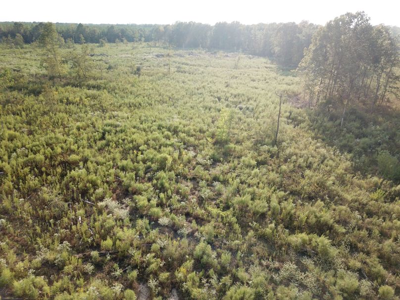 DJI_0836