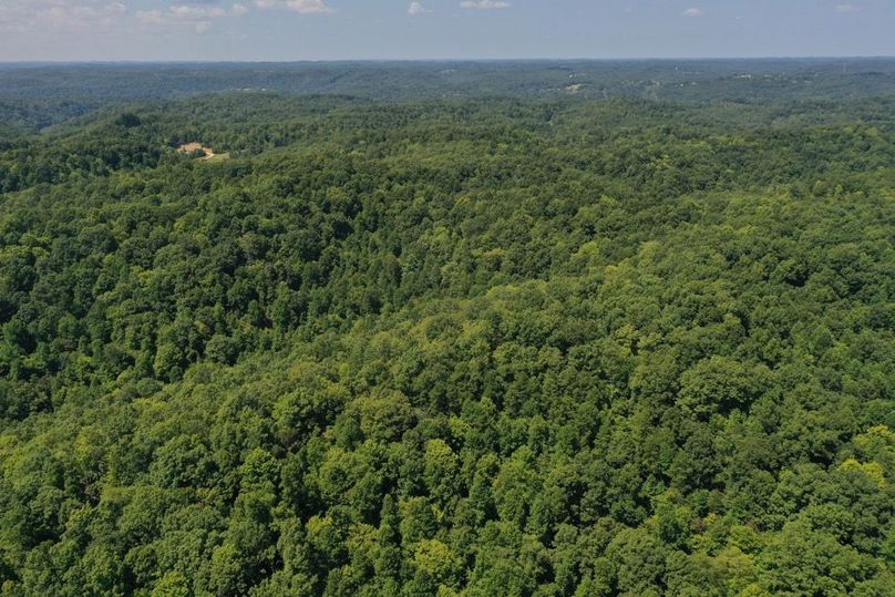 012 aerial drone shot from the east boundary looking west across the property