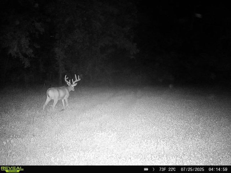 864049057563977-100-3-07252025041458-W1012250