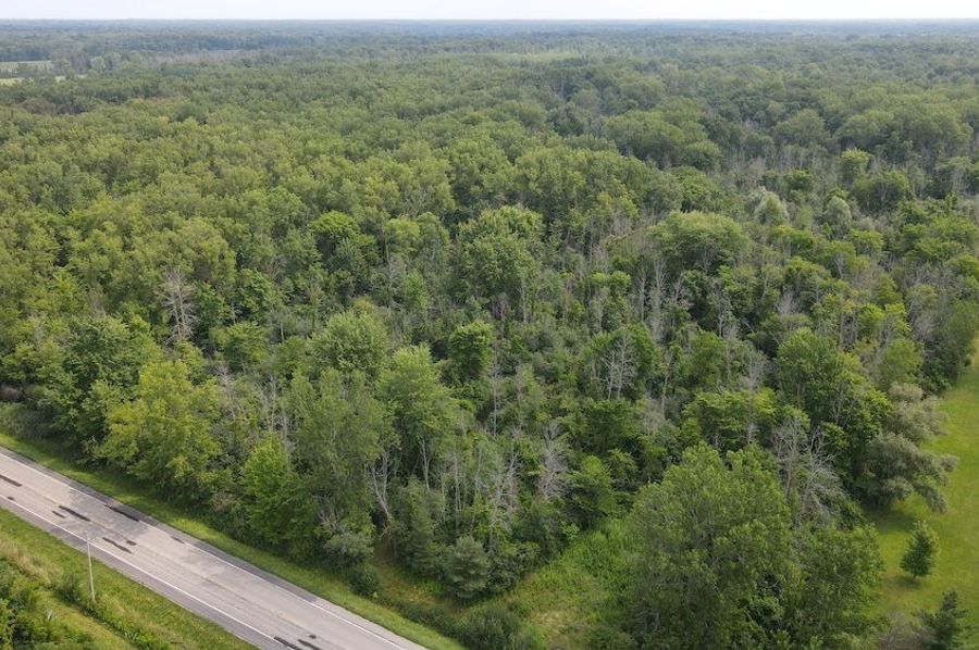 1 dji_fly_20240805_114404_524_1722872653541_photo