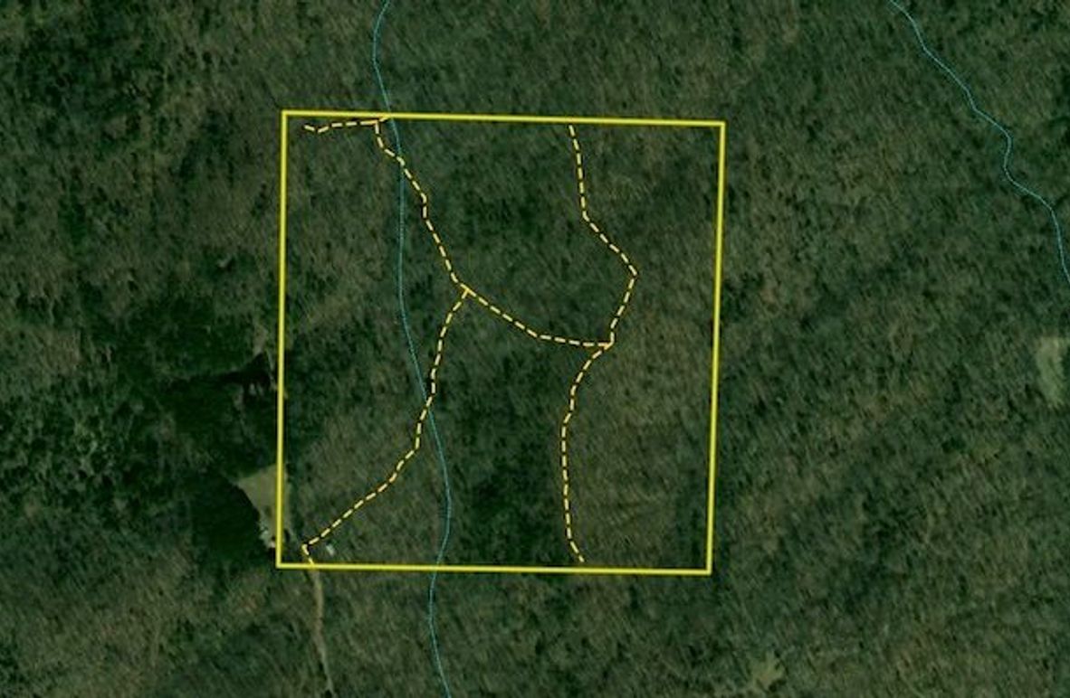 Screenshot 2025-02-26 at 9.17.52 AM