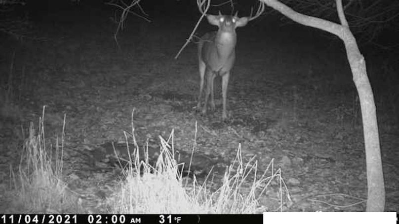 13.5 Copy of IMG_0028