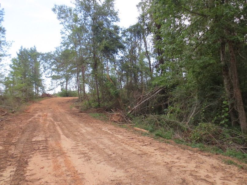 BF96AF45-03F0-4F27-96A2-B81A6E4E9A79_1_105_c