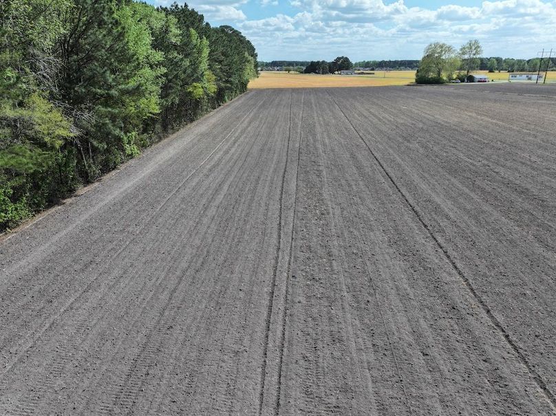 dji_fly_20260315_121408_0549_1775758625127_photo