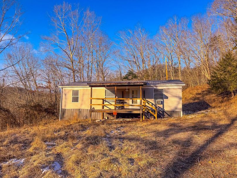 Roane, WV 100.12 AC Tree Line-64