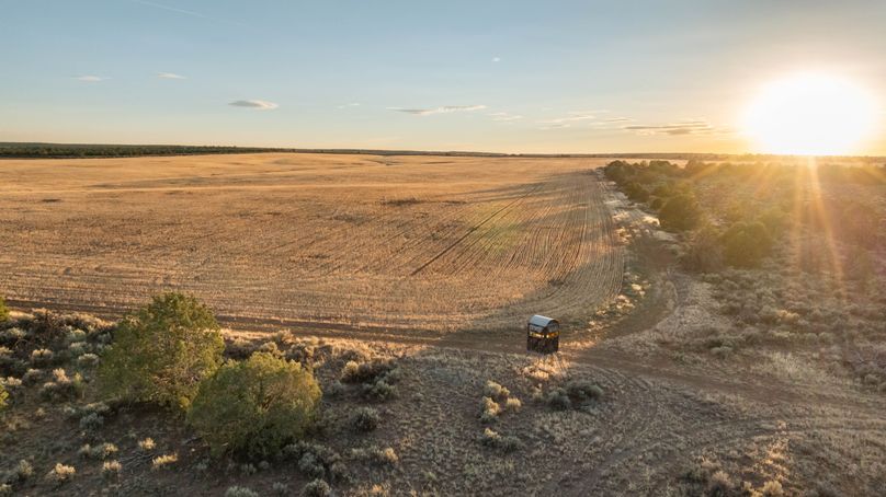 DJI_0246_1