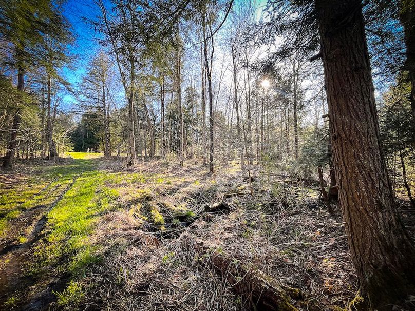 Oswego_17.88_Feld_Photos_79