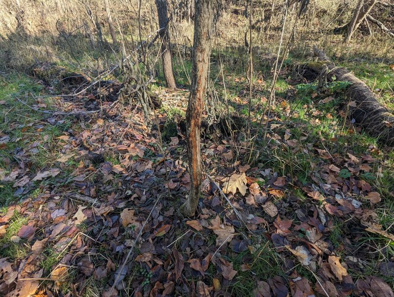 PXL_20231103_151629932