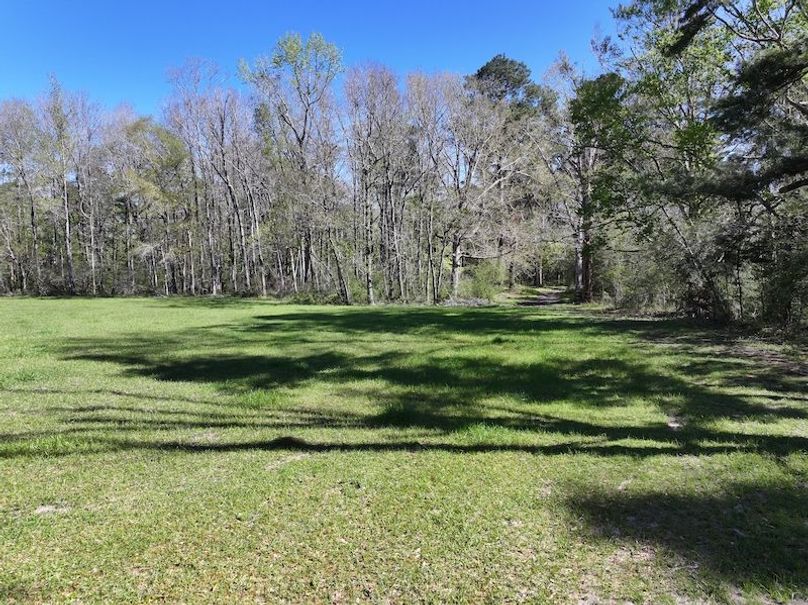 dji_fly_20260317_091050_0393_1773768880664_photo