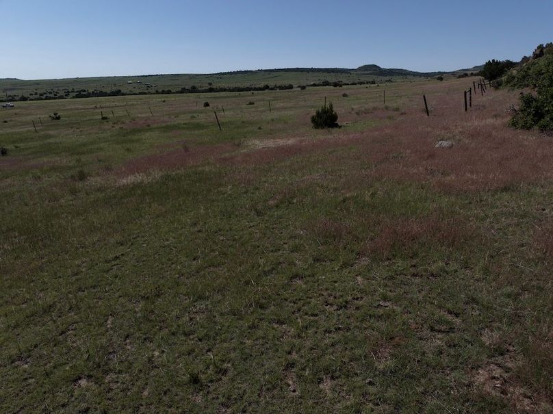DJI_20250619093503_0022_D