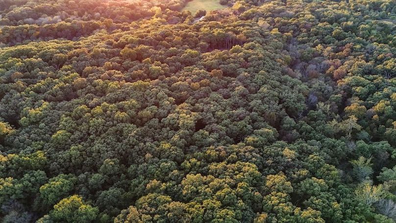 DJI_20250926180716_0039_D