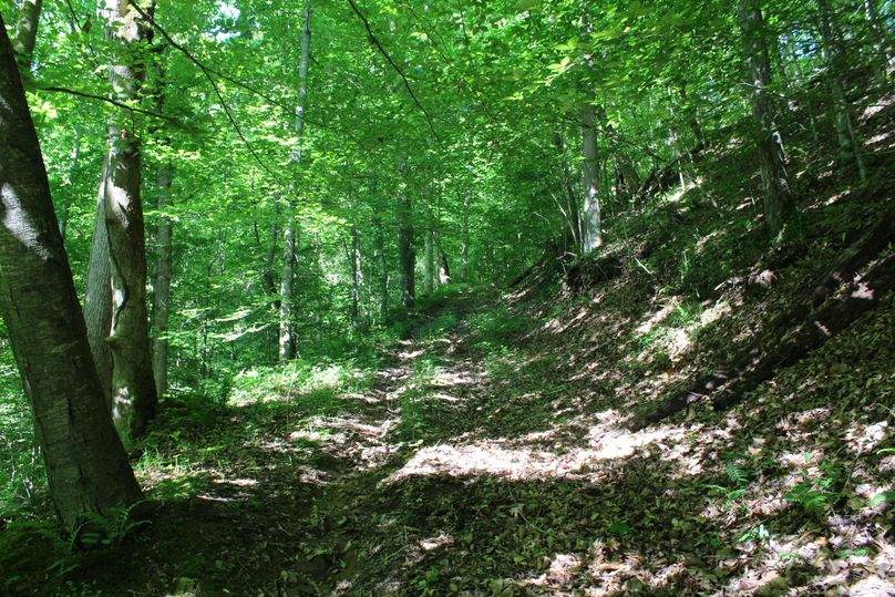 024 ATV road leading up to the south ridge