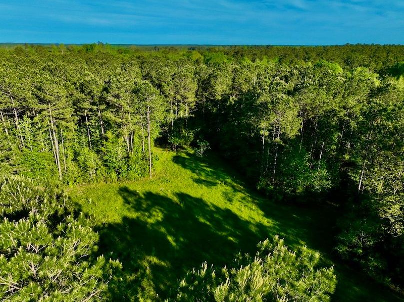 8676643B-CC4B-4ABB-BCC2-5AE25E63B604_1_201_a