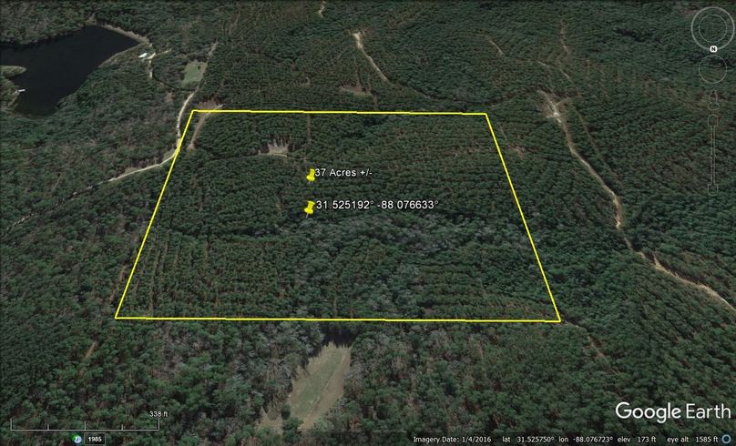 Aerial #4 Approx. 37 Acres Washington County, AL