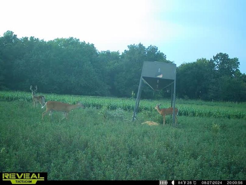 865509050069214-100-2-08272024200108-w1011934