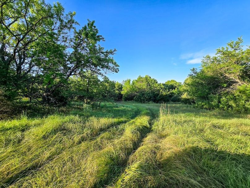 Copy of 20250729_073800