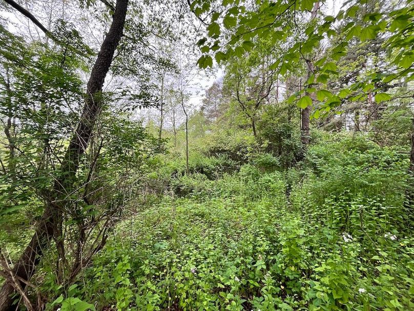 Chemung_3.5_Rouseland Photo 9