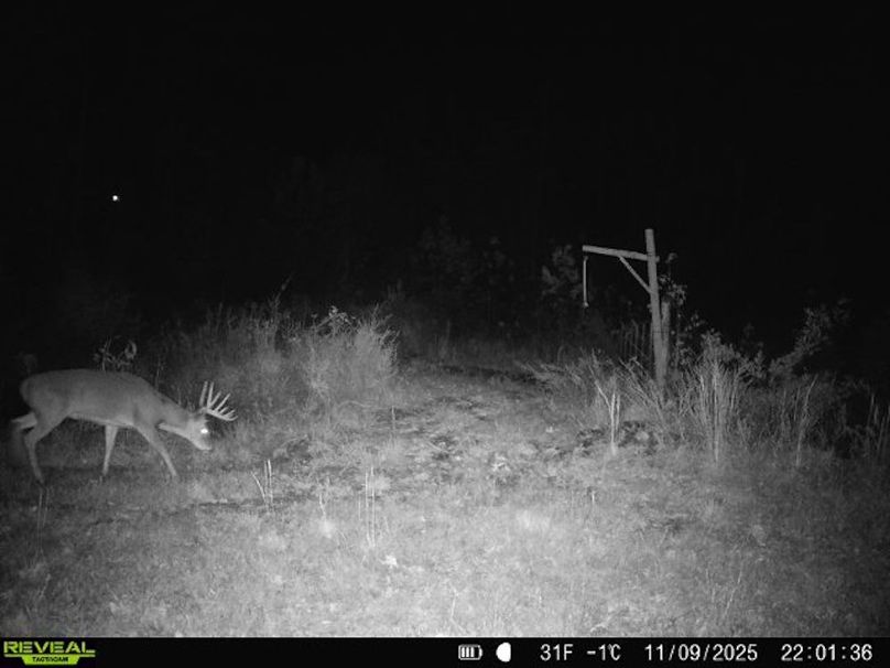 860516067719439-60-4-11092025220136-W1016889