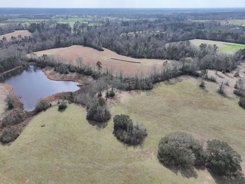 dji_fly_20260220_123734_0202_1771640807424_photo