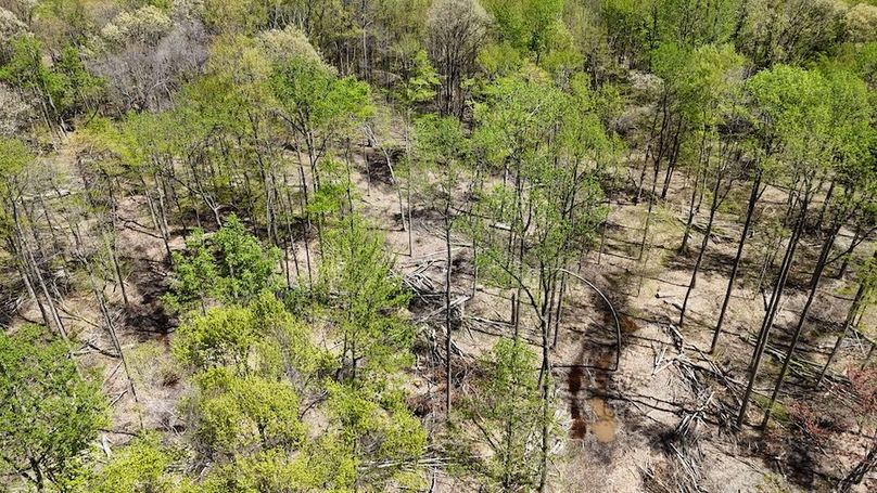 DJI_20250423130818_0421_D