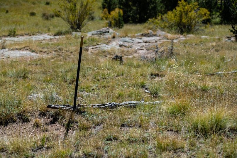 Teller Co 4.65 Thomas - 028 Survey Marker