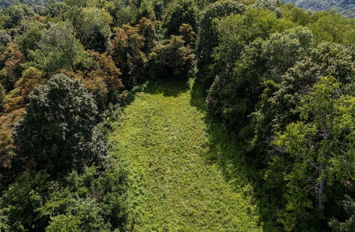 DJI_20250728142228_0159_D