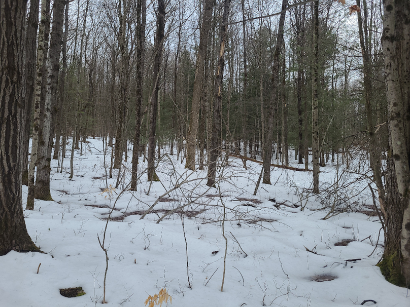 photo_643be510-db33-4801-8287-2c708305b1f0